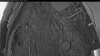 Web Cam Image - Mon, 05/11/2026 4:19am PDT