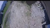 Web Cam Image - Mon, 06/01/2026 11:24am PDT