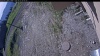 Web Cam Image - Tue, 06/02/2026 7:49am PDT