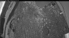 Web Cam Image - Mon, 06/08/2026 3:34am PDT