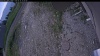 Web Cam Image - Tue, 06/16/2026 9:44am PDT