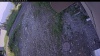 Web Cam Image - Sun, 07/05/2026 6:05pm PDT