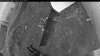 Web Cam Image - Sat, 10/17/2026 5:39pm PDT