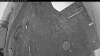 Web Cam Image - Wed, 04/29/2026 7:29pm PDT