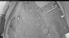 Web Cam Image - Fri, 05/08/2026 4:24am PDT