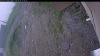 Web Cam Image - Thu, 06/04/2026 9:19am PDT