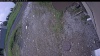 Web Cam Image - Sat, 06/06/2026 11:04am PDT