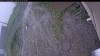 Web Cam Image - Sun, 06/07/2026 7:59am PDT