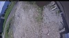 Web Cam Image - Sat, 06/13/2026 10:54am PDT
