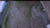 Web Cam Image - Fri, 07/03/2026 2:04pm PDT