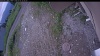 Web Cam Image - Fri, 07/03/2026 7:49pm PDT