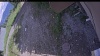 Web Cam Image - Sat, 07/04/2026 3:34pm PDT