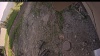 Web Cam Image - Sun, 06/15/2025 11:54am PDT