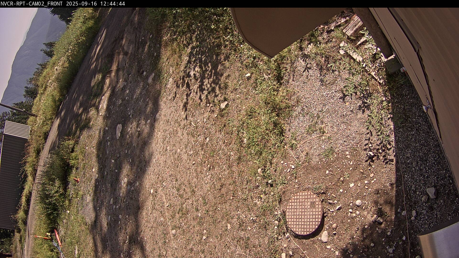 Web Cam History Image - 98
