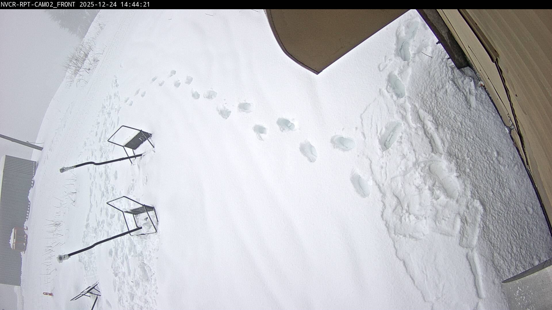 Web Cam History Image - 98