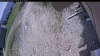Web Cam Image - Sun, 05/24/2026 11:59am PDT