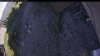 Web Cam Image - Tue, 06/16/2026 5:59pm PDT