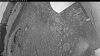 Web Cam Image - Thu, 07/02/2026 3:34am PDT