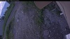 Web Cam Image - Sat, 07/04/2026 3:29pm PDT