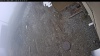 Web Cam Image - Tue, 04/28/2026 6:19am PDT