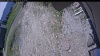 Web Cam Image - Mon, 06/01/2026 11:09am PDT