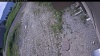 Web Cam Image - Tue, 06/23/2026 7:54am PDT