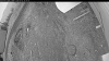 Web Cam Image - Tue, 05/05/2026 7:29pm PDT