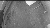 Web Cam Image - Fri, 05/08/2026 4:09am PDT