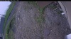 Web Cam Image - Fri, 06/05/2026 6:19am PDT