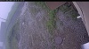 Web Cam Image - Thu, 06/25/2026 12:19pm PDT