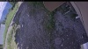 Web Cam Image - Sat, 07/04/2026 3:19pm PDT