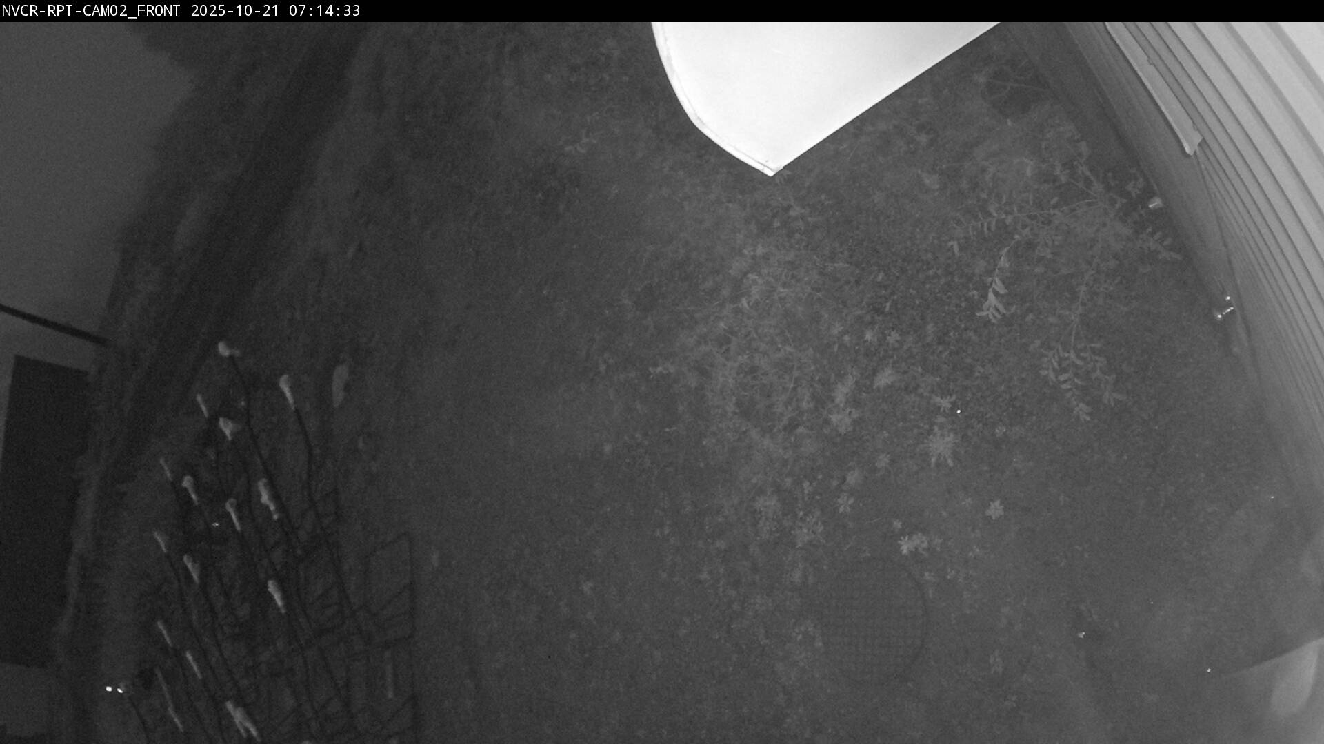 Web Cam History Image - 973