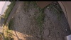 Web Cam Image - Mon, 09/01/2025 10:19am PDT
