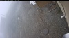 Web Cam Image - Tue, 04/28/2026 6:09am PDT