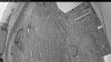 Web Cam Image - Tue, 05/05/2026 7:24pm PDT