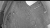 Web Cam Image - Fri, 05/08/2026 4:04am PDT