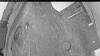 Web Cam Image - Sat, 05/09/2026 7:54pm PDT