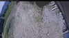 Web Cam Image - Mon, 06/01/2026 10:59am PDT