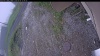 Web Cam Image - Tue, 06/09/2026 11:54am PDT