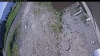 Web Cam Image - Tue, 06/16/2026 9:19am PDT