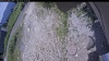 Web Cam Image - Tue, 07/07/2026 11:35am PDT
