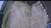 Web Cam Image - Mon, 06/01/2026 10:54am PDT