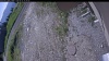 Web Cam Image - Tue, 06/16/2026 9:14am PDT