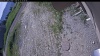 Web Cam Image - Tue, 06/23/2026 7:39am PDT