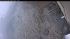 Web Cam Image - Wed, 05/06/2026 8:54am PDT