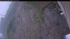 Web Cam Image - Fri, 06/05/2026 6:04am PDT