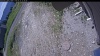 Web Cam Image - Sat, 06/13/2026 10:24am PDT