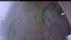 Web Cam Image - Thu, 07/02/2026 10:29am PDT