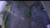 Web Cam Image - Sun, 07/05/2026 5:29pm PDT