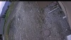 Web Cam Image - Sat, 05/09/2026 7:39pm PDT